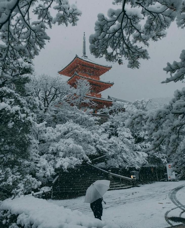 Kyoto-Toji House公寓式酒店 外观 照片