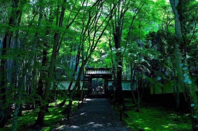 Kyoto-Toji House公寓式酒店 外观 照片